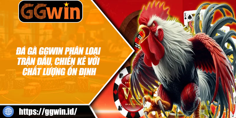 Đá Gà GGWIN Phân Loại Trận Đấu, Chất Lượng Ổn Định
