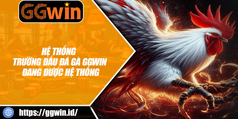 Hệ Thống Trường Đấu Đá Gà GGWIN Đang Được Hệ Thống